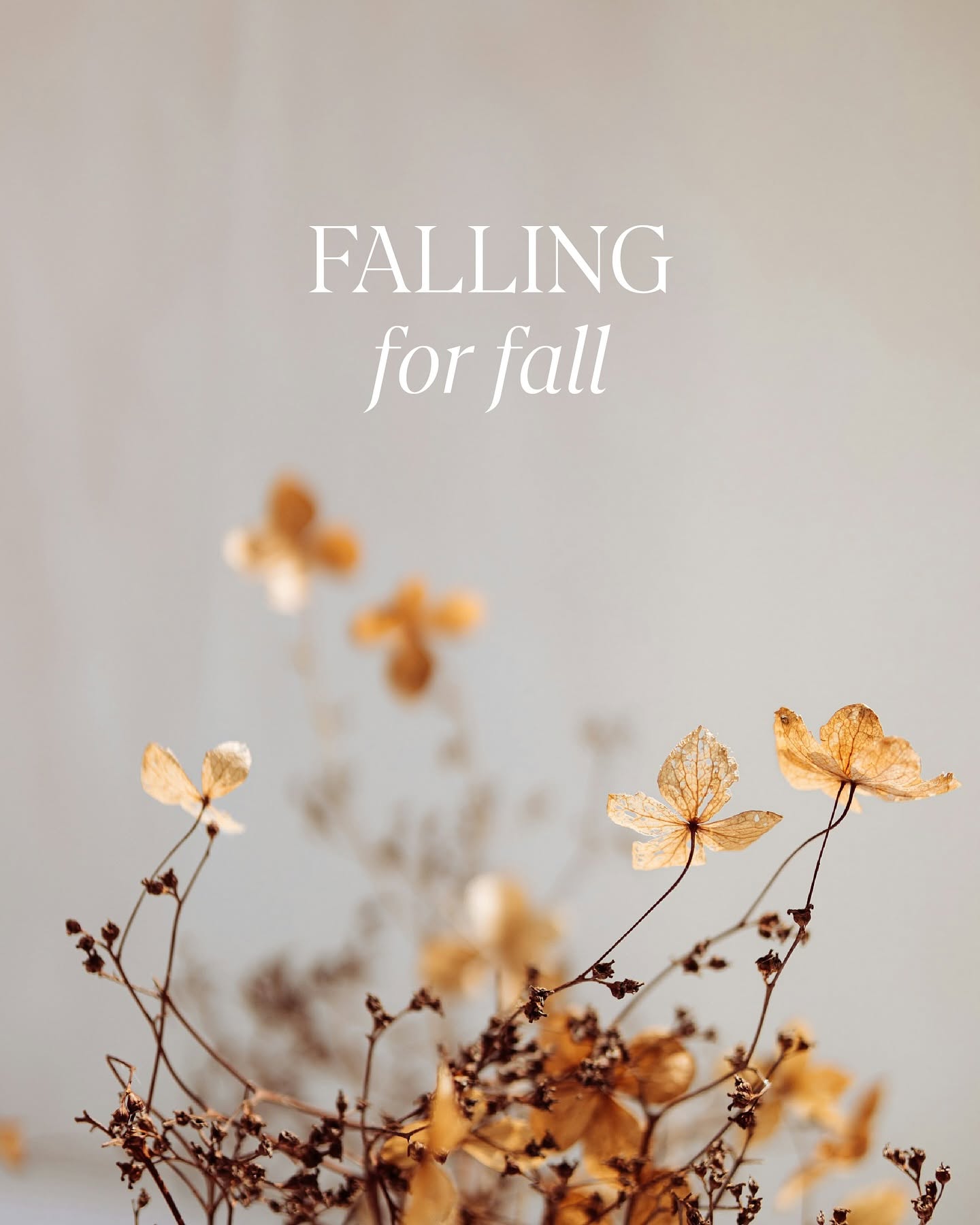 FALLING for fall — 가을 무드의 미니멀 럭셔리 캠페인 비주얼
